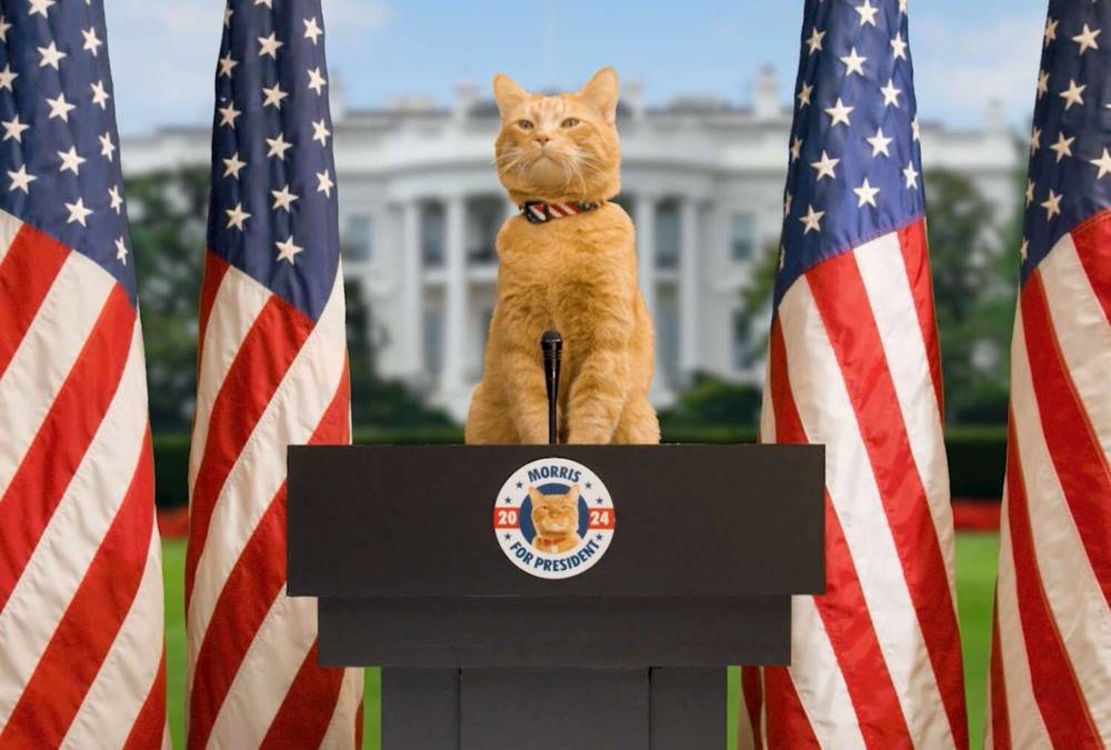 Morris The Cat For President 9 Lives 8.5×11 Photo Print