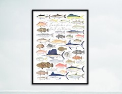 18×24 Gamefishes of the Gulf of Mexico poster – Val Kells Nature Prints