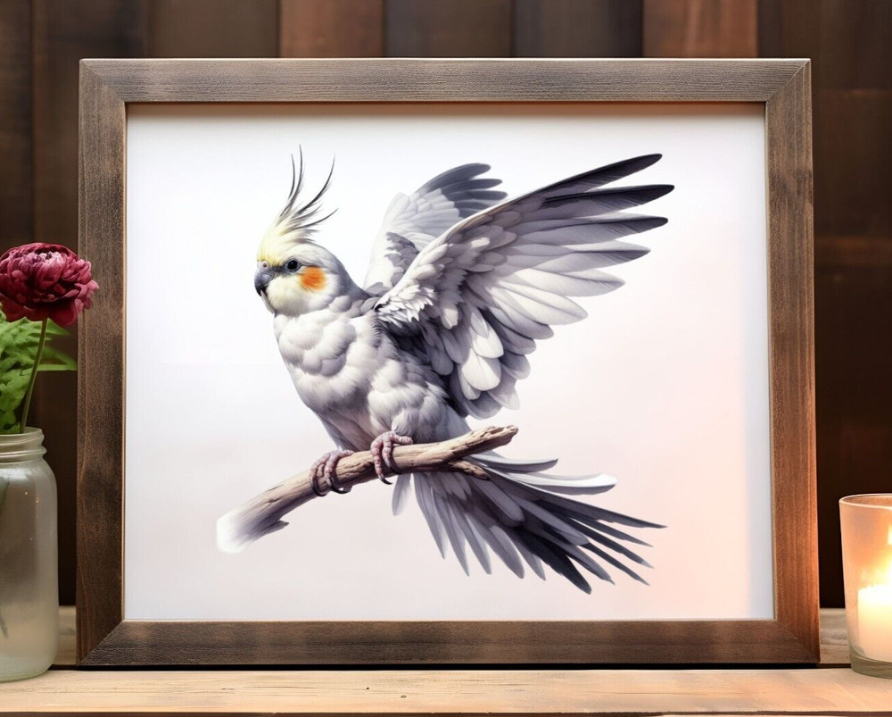 Cockatiel Wall Art Print, Gray Cockatiel Art Print, Wall Art Decor, Home Decor