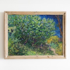 Lilac Bush (1889) by Vincent van Gogh Impressionism Wall Art Poster Print