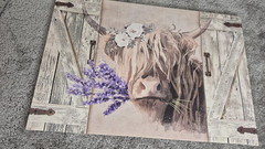 Highland Cow Canvas Wall Art, Highland Cow and Purple Lavender 23 x 15.5″ Farm