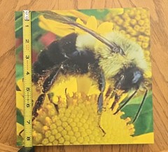 Busy Bee Tile Picture
