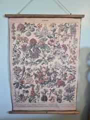 Nouveau Larousse Illustre Botanical Canvas Art Print Wall Hanging