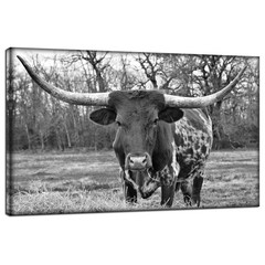 Black and White Animal Wall Art Longhorn Picture Prints Modern Office Living …