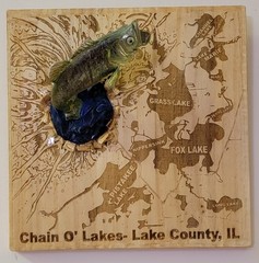 Chain of Lakes, Lake County Illinois Wall Art Bass/ Fishing Memorabilia 10×10