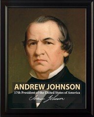Andrew Johnson 17th President Poster Picture or Framed Wall Art