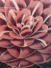 Heart Cutout Wood Frame Camellia Botanical Print Folk Art Wall Decor