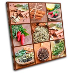 Spices Collage chili Food Kitchen SINGLE CANVAS WALL ART Picture Print VA