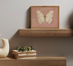 Framed Vintage Butterfly Canvas Wall Art Antique White 10″L x 8″W,