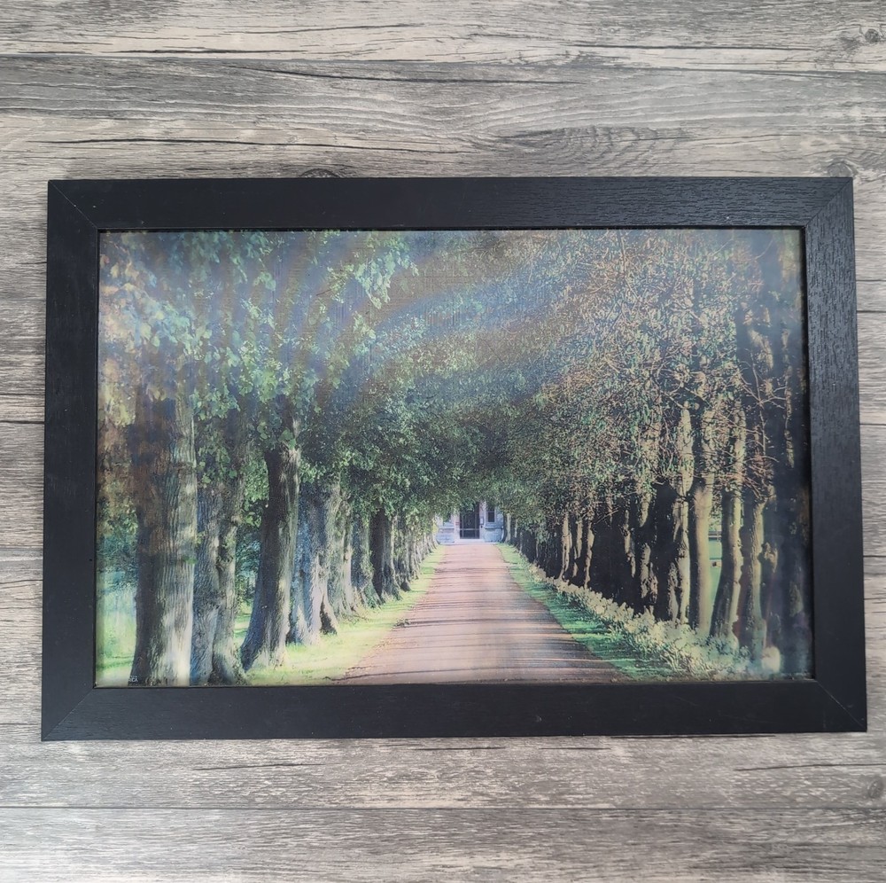 Holographic Season Changes Tree Photo 13×19″ Framed 3D Optical Landscape Image