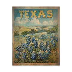 TEXAS BLUEBONNET Wall Art, Retro Botanical Home Decor, State Flower Poster Print