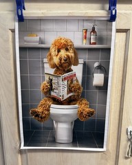 Goldendoodle Dog Bathroom Poster – Funny Animal Canvas Art, 12x18inch Unframed,