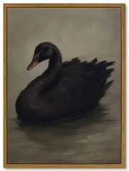 Framed Vintage Black Swan Canvas Wall Art Moody Animal Picture Dark Victorian…
