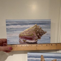Coastal Seashell & Starfish Beach Canvas Print Set Multicolor 6 x 8.75”