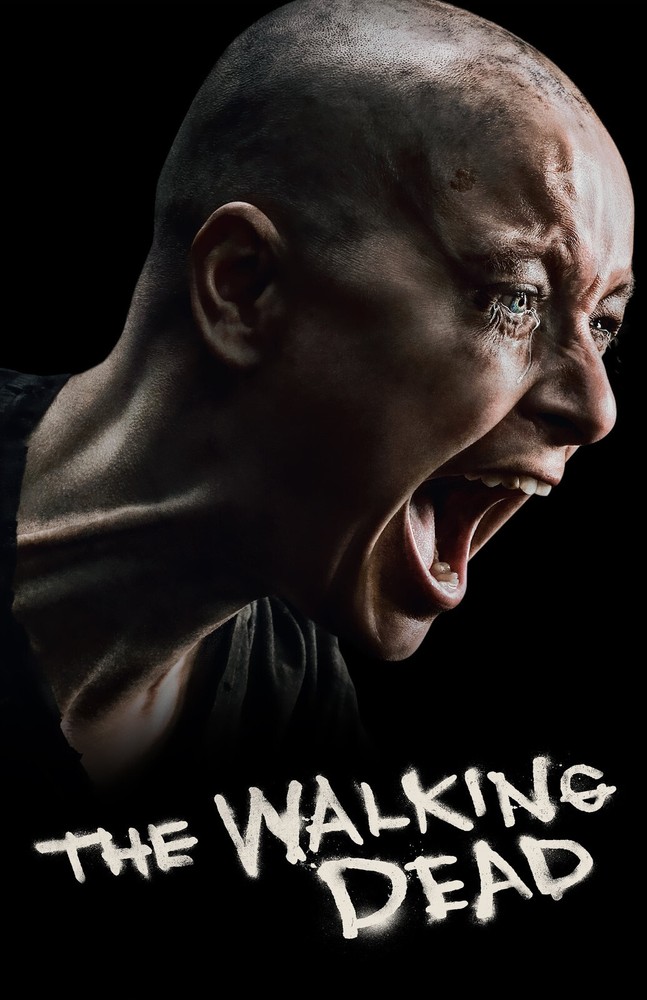 AA5513 The Walking Dead Show By Frank Darabont 2010 Actress Movie Poster 11×17