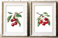 Cherry Wall Art Prints, Set of 2 Kitchen Wall Art, Cherry Home Decor #109
