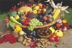 Poster Studio B – Antumn Fruit Basket Corn Graphic 24×36″ NEW Wall Art CJ3519