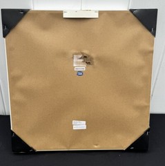 Louis Vuitton 19”X 19” Framed Wall Art Jordan 1 Game Changer Rare
