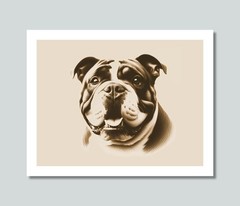 BULLDOG Dog Photo Picture Pet Print in 8×10, 8.5×11 or 11×14 WB1s