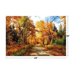 Fall Foliage Autumn Road New Hampshire Colorful Tree Photo Wall Art Poster 24×16