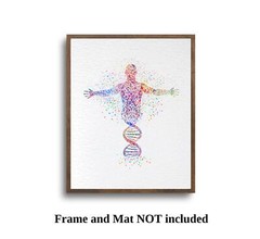 Dignovel Studios DNA Human Particle Medical Education Science Art Print