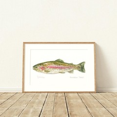 Rainbow Trout Fish Wall Art, Watercolor Nature Print Lakehouse Decor