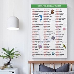 Names for Groups of Animals Poster Educational Classroom Wall Art