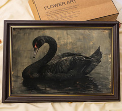 Black Swan Framed Wall Art, Moody Vintage Animal Canvas Print with Gold Accents,