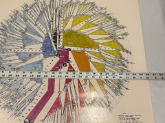 VTG ZAGRZEBSKI 1973 Family Tree History Heritage One of a kind Genealogy Poster