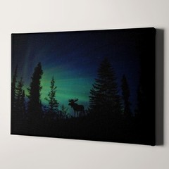 Northern Lights Aurora Borealis Moose Canvas Wall Art Print