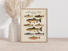 North American Trout Poster | Vintage Fishing Lake House Wall Art Print