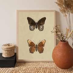 Vintage Butterfly Wall Art, Retro Butterfly Illustration Canvas Print, Neutral V