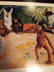 HIGH ROLLER MONKEYS, GORILLAS & MORE PICTURE GREAT FOR ANY COLLECTION!