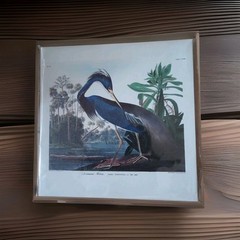 New Special Moments 9 in x 9 in Picture Bird Canvas Wall Mount
