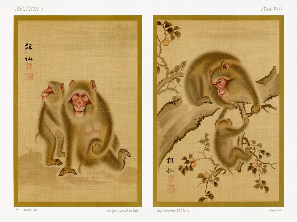 12125.Decor Poster.Room wall art.Home interior vintage design.Japanese monkeys