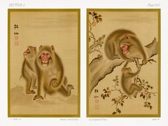 12125.Decor Poster.Room wall art.Home interior vintage design.Japanese monkeys