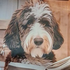 Dog on Toilet Bathroom Humor Print Poster 12 x 18 in Vertical Unframed