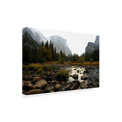 Chris Bliss ‘Yosemite’ Canvas Unframed Photography Wall Art 22 In. W. X 32 In