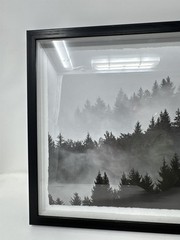 Black And White Forrest/Mountain Picture In Frame Nature Woods Marmont