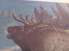 Vintage…Lot 3 .Original ..Gallery «Kuhn» Animal Art Prints Office..Cabin..Farm