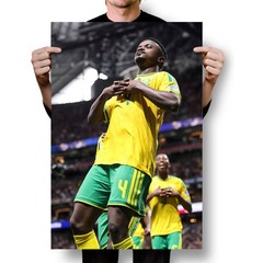 South Africa Soccer Fans Mokoena 4 Goal – World Cup 26 Tribute – POSTER 20″x30″