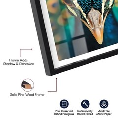 Fiery Peacock I Shadowbox Print Living Room Wall Art by Notoriart, Black Fram…