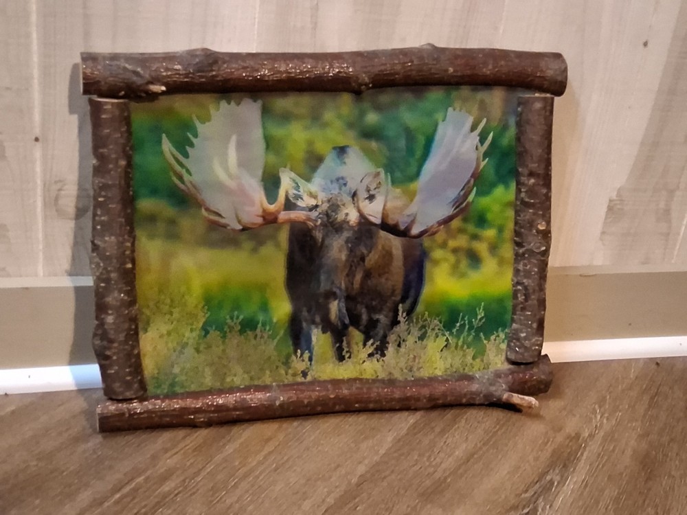 3D Moose Wall Hanging Rustic Framed 3-in-1 Picture 16 X12 Inch