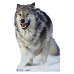 GREY WOLF In Snow Gray Lifesize CARDBOARD CUTOUT Standee Standup Poster Prop