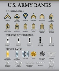 U.S. Army Ranks POSTER 24 X 36 Inches