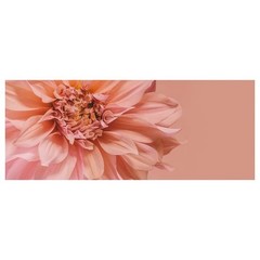 IKEA BJORKSTA «Flowers in Pink» Picture 55″ x 22 » Canvas (Frame Not Included)