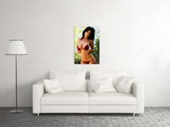Denise Milani Sexy Model Sportswear Fashion Wall Art Home Decor – POSTER 20×30