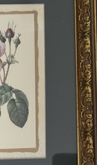 Wall Hanging Rose Print Matted Gold Frame 10×12 Glass Front New Display Unit