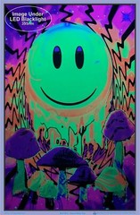 Have A Nice Trip Blacklight Poster 23 x 35