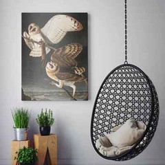 Barn Owl – Birds of America Vintage Birds Animals Canvas Wall Art Print
